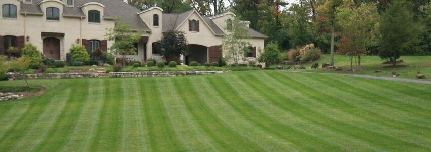 Lawn Aeration