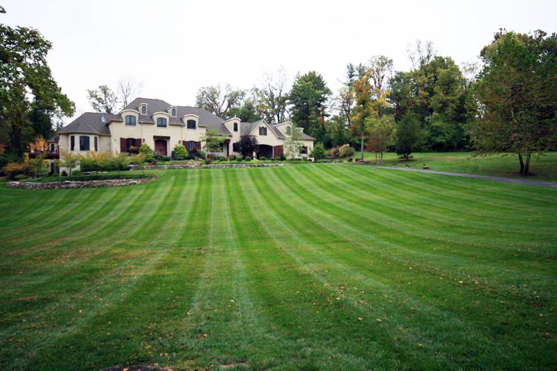 Sod Installation in St Louis, MO