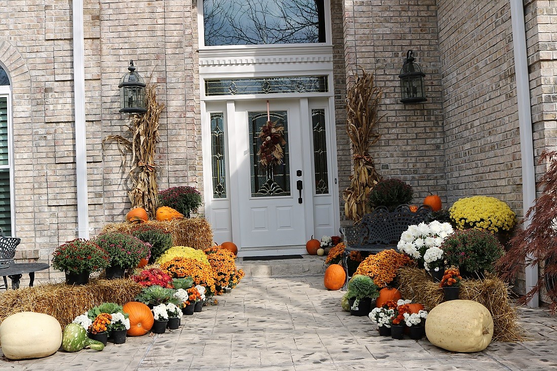 Fall annuals and decor