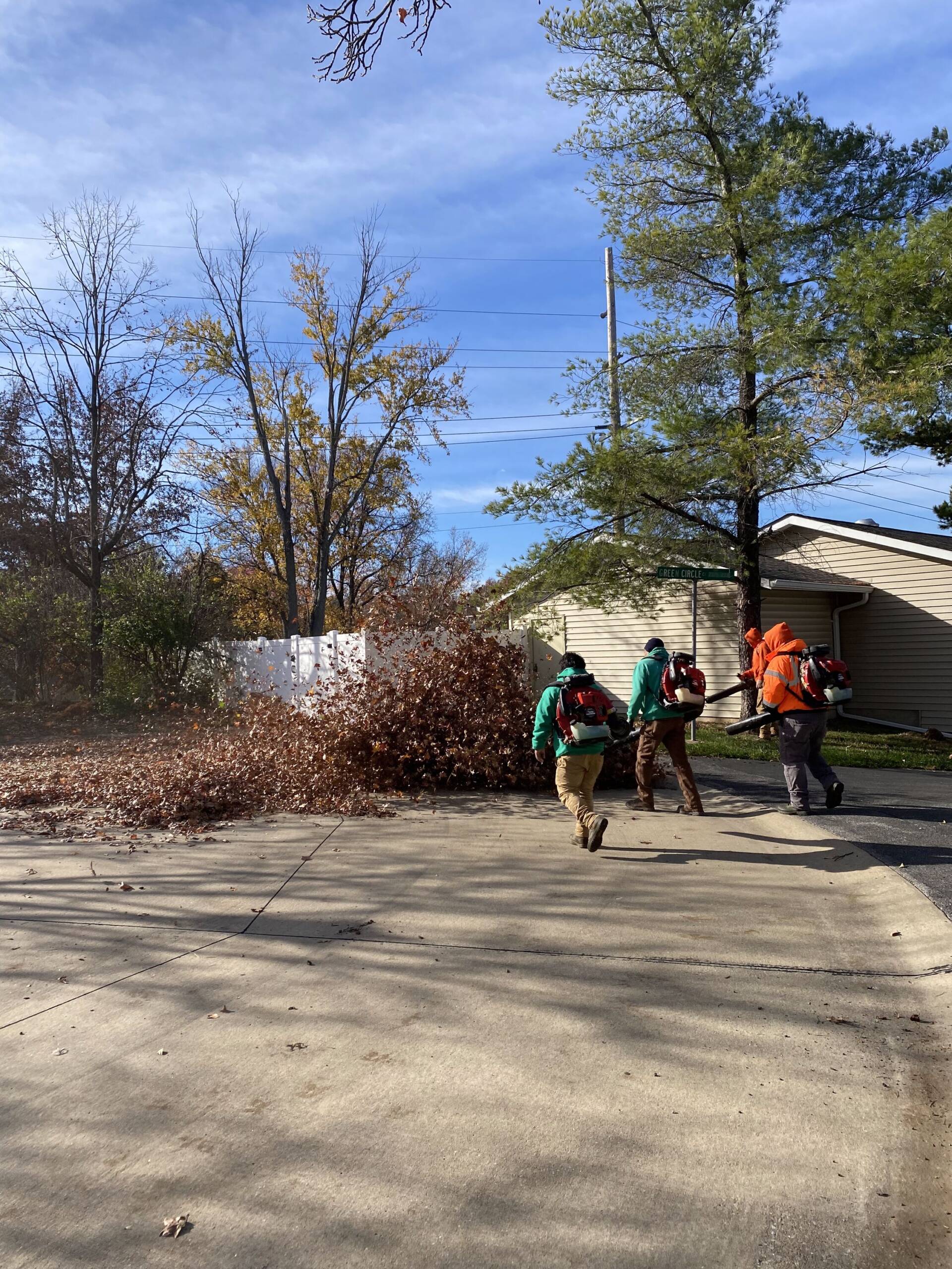 Leaf removal