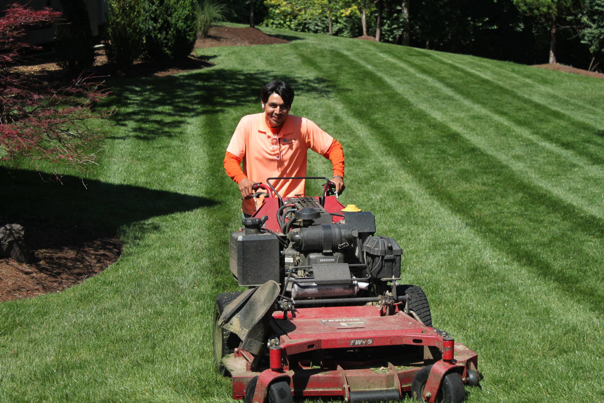 Mowing and trimming