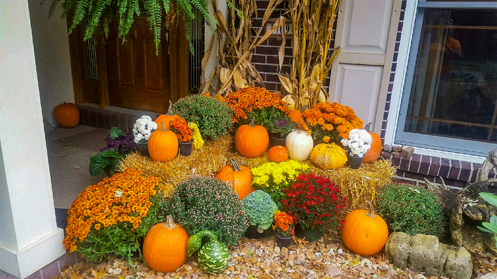 Pumpkins, gourds, scarecrows, and lanterns