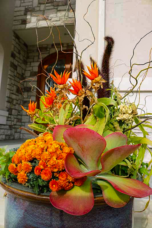 Seasonal Décor for Halloween