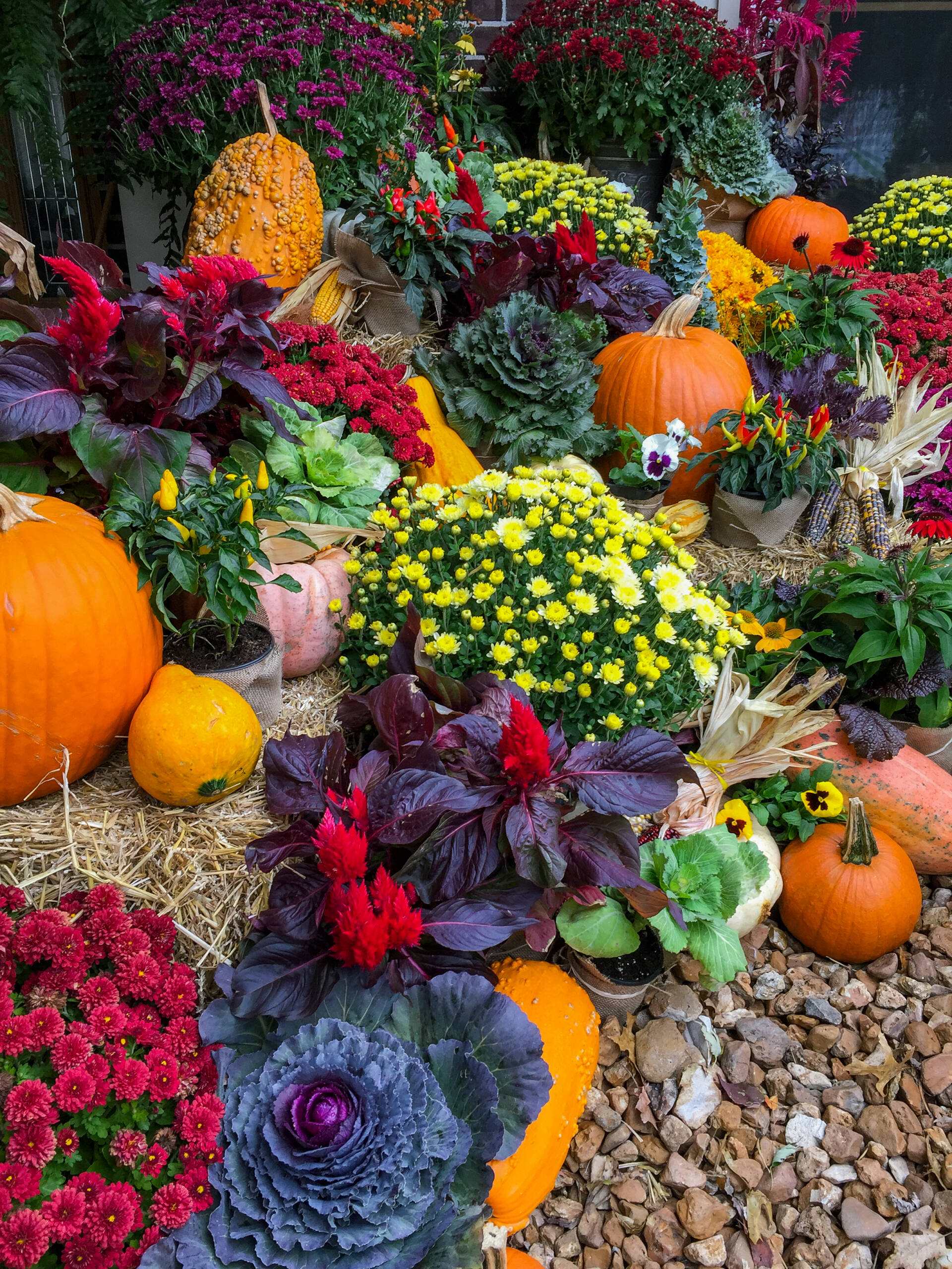 Seasonal Décor for Halloween