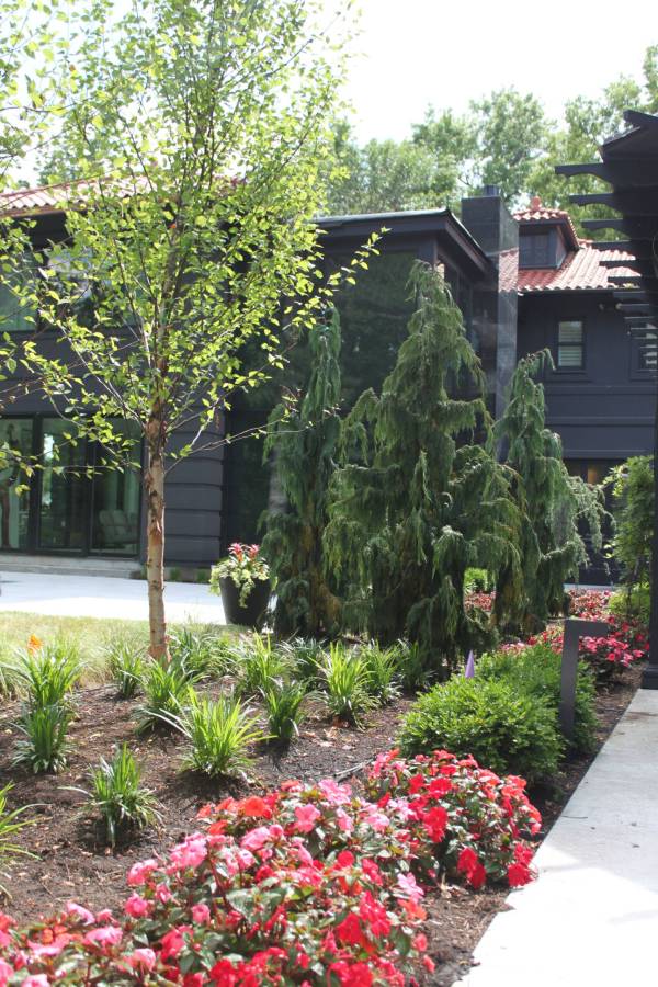 More Than Just Flowers Complete Bed Maintenance