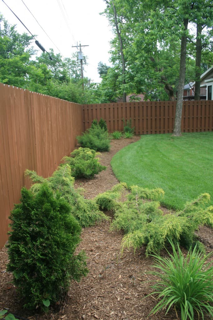 Weed and Pest Control