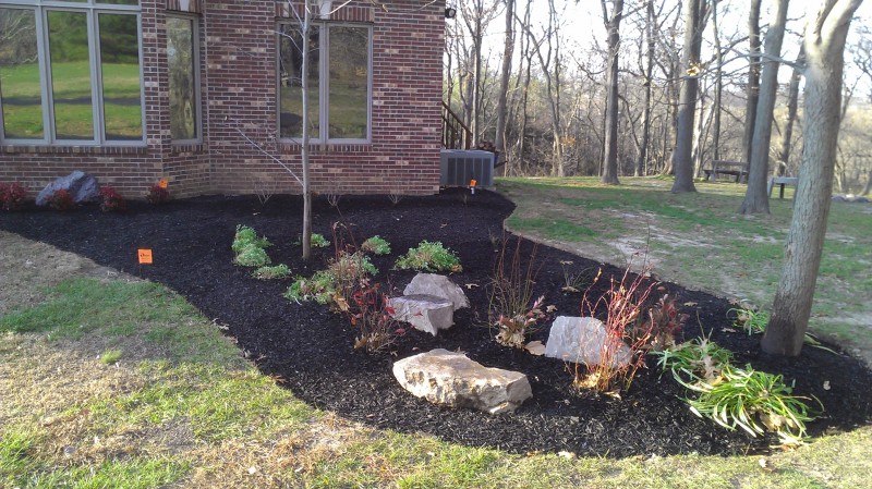 Weed and Pest Control