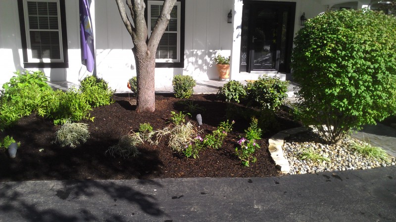 Weed and Pest Control