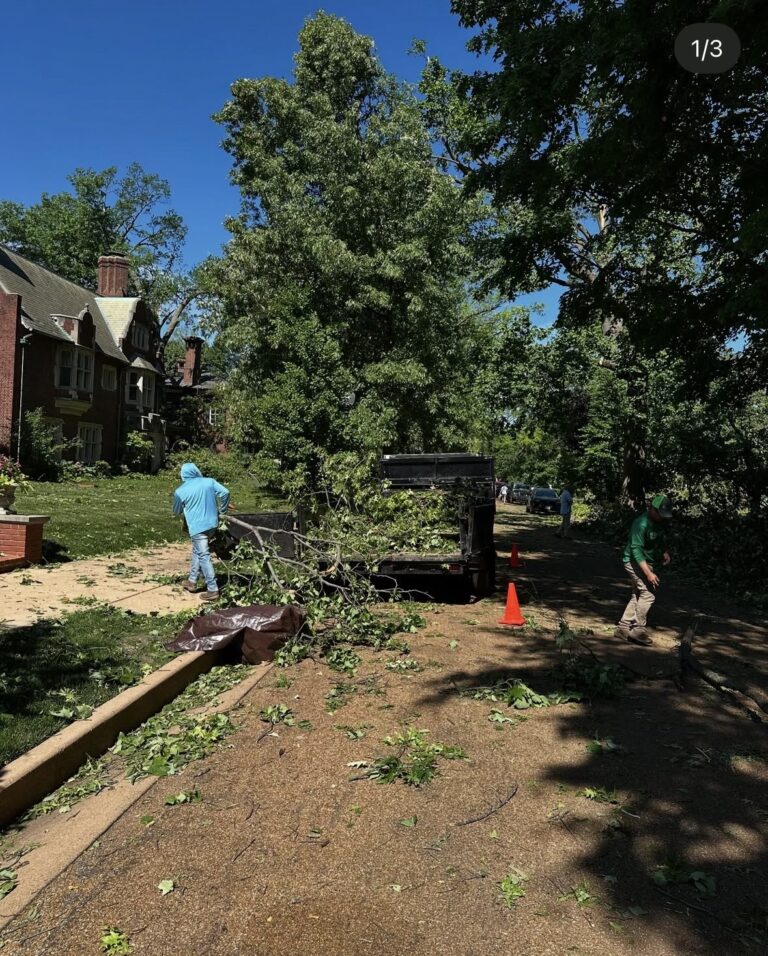 St. Louis Landscaping Design & Build Services | Quiet Village Landscaping