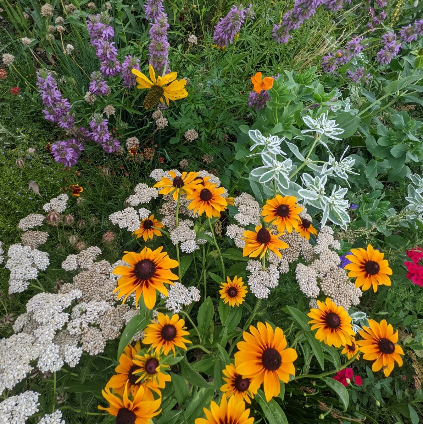 Flower display by Quiet Village | Quiet Village Landscaping