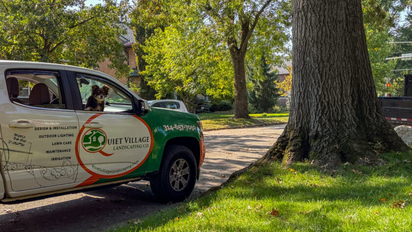Company van parked on a sunny street under trees, with a dog peeking from the front window and landscaping graphics on the side.