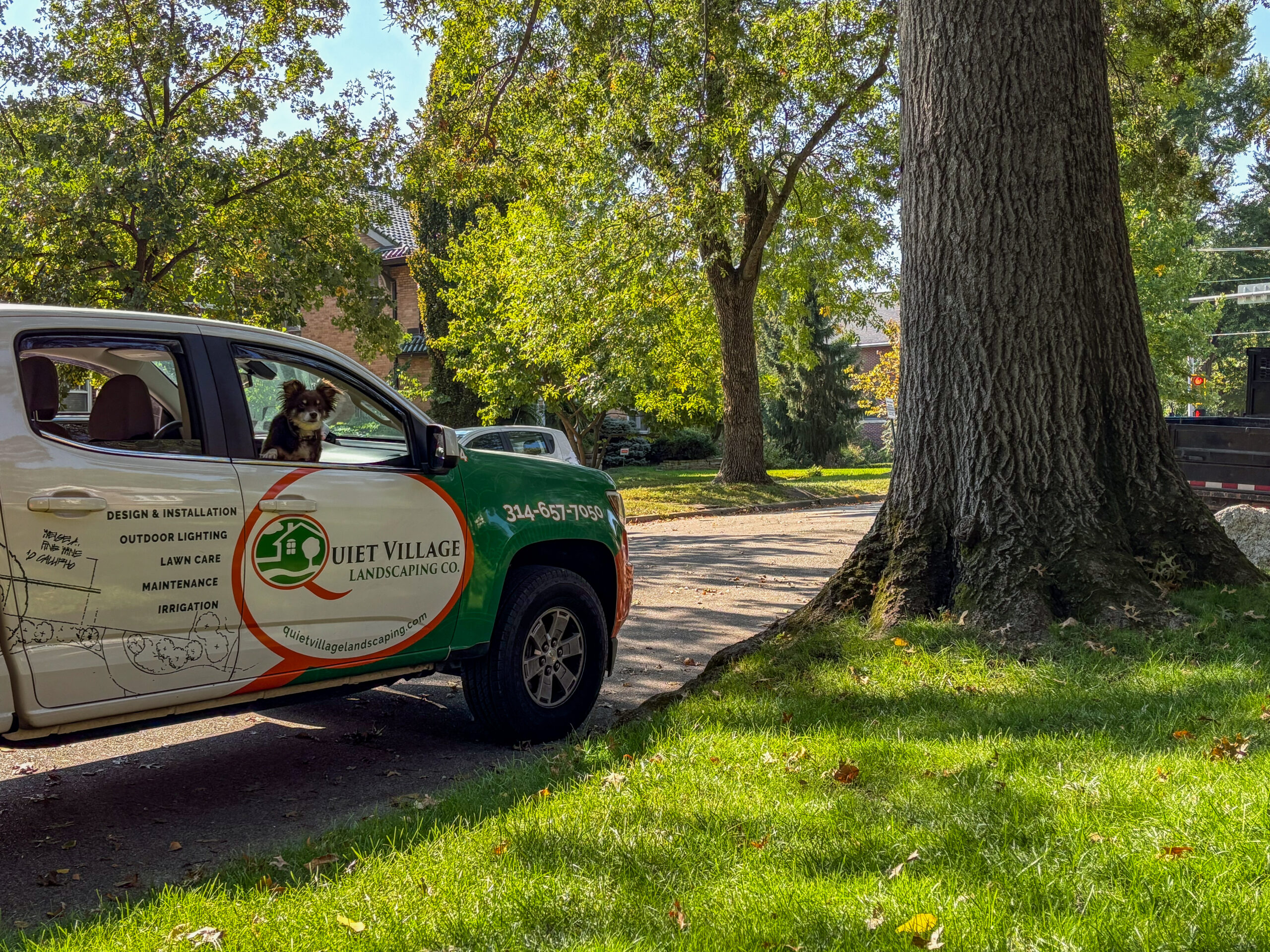 Company van parked on a sunny street under trees, with a dog peeking from the front window and landscaping graphics on the side.