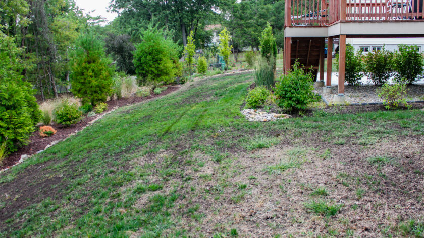 Sloped backyard with a wooden deck on the right, green lawn, shrubs and small trees along a garden bed.