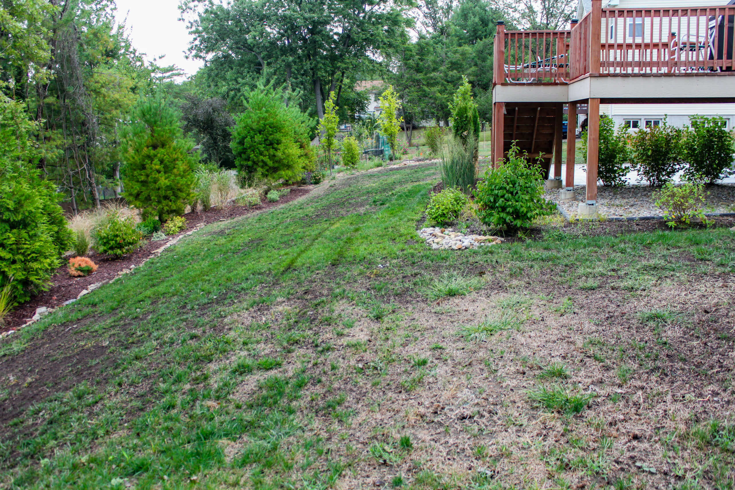 Sloped backyard with a wooden deck on the right, green lawn, shrubs and small trees along a garden bed.