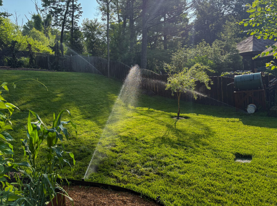 Sprinkler arch watering a sunny backyard with green grass, a wooden fence, and trees in the background near a house on the right.