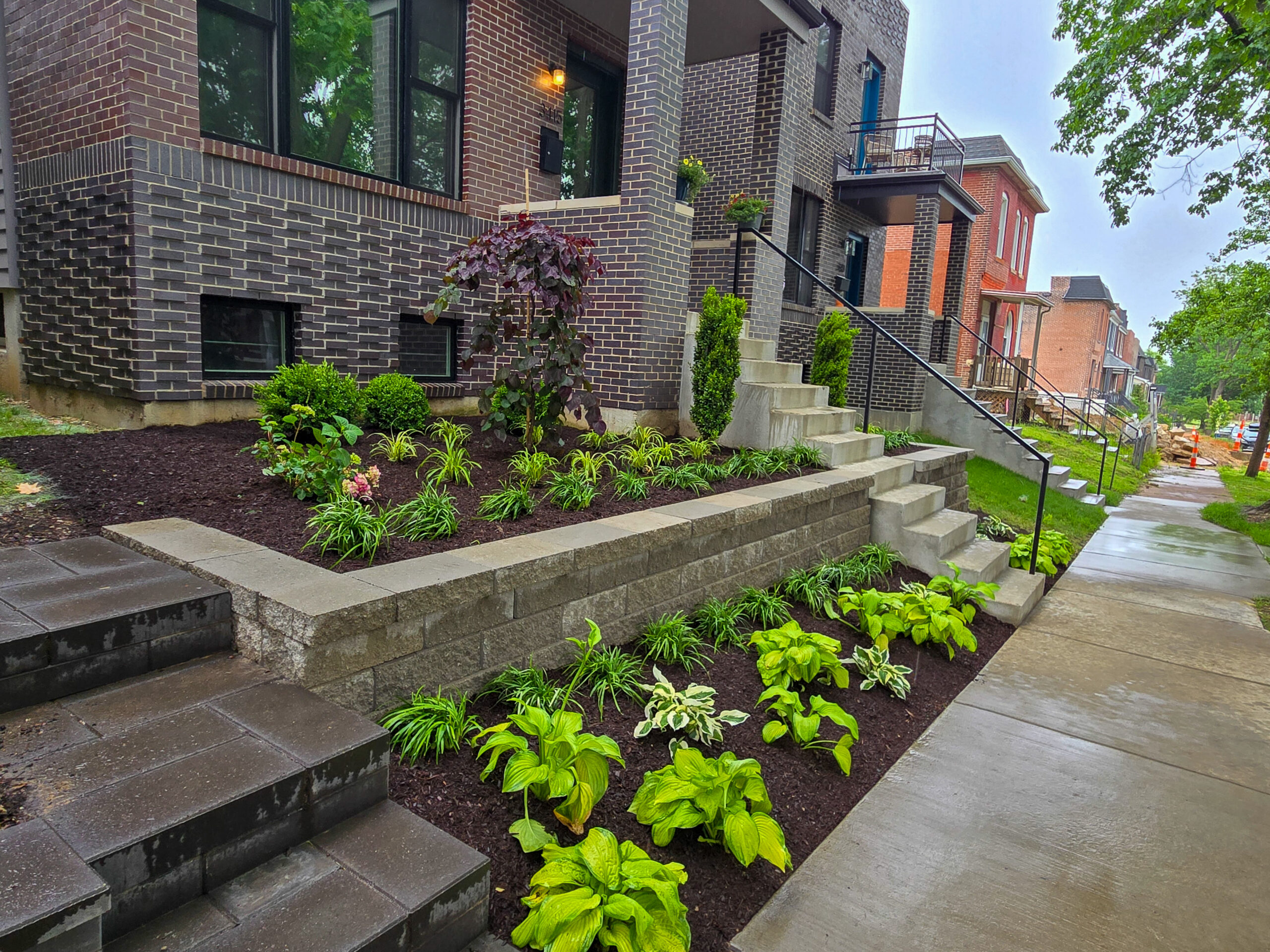 Photograph: stepped beds with vegetables in summer
