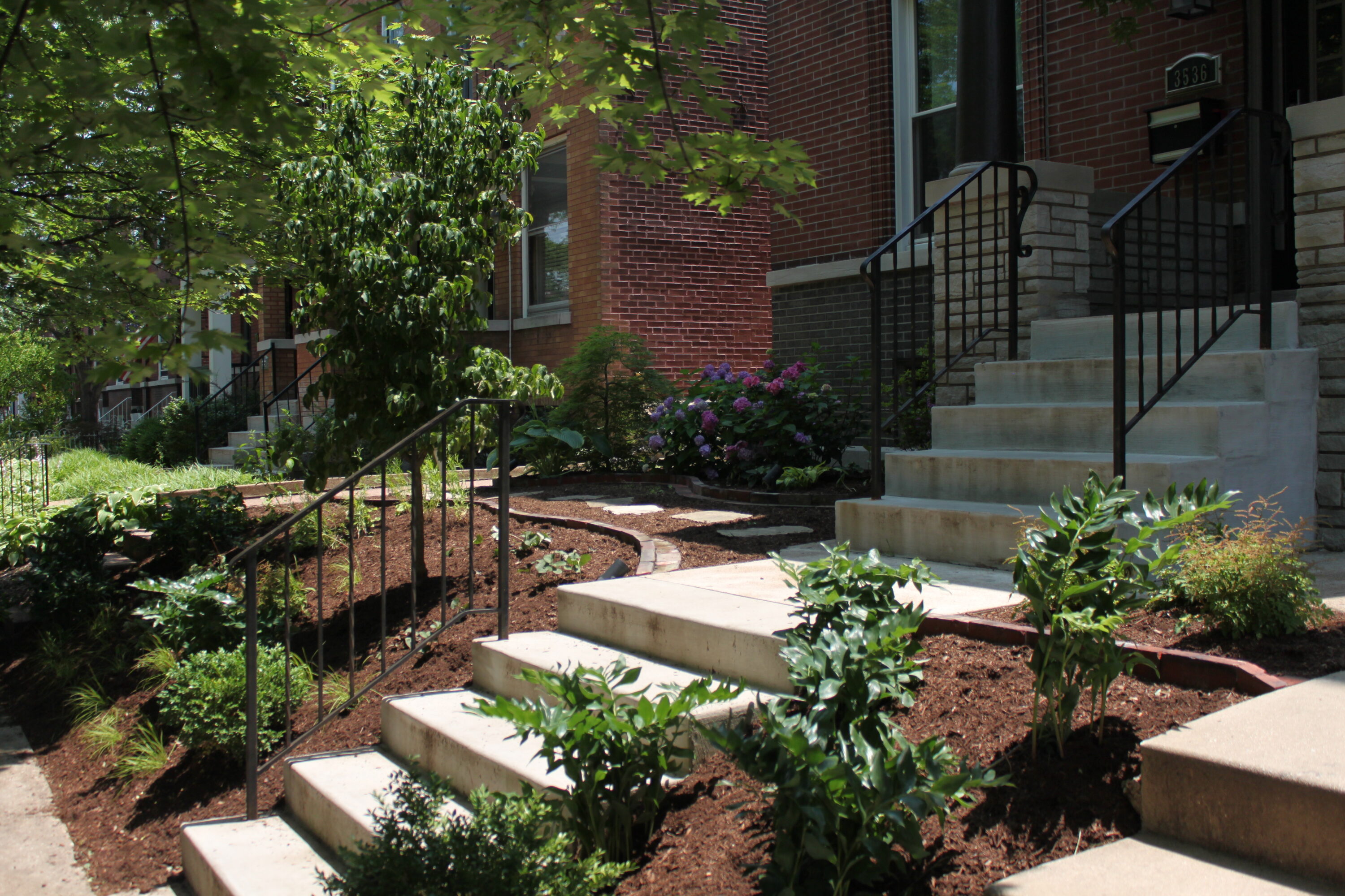 Brick townhouse with concrete steps and black metal railings, front garden with mulch and purple hydrangeas under leafy trees.