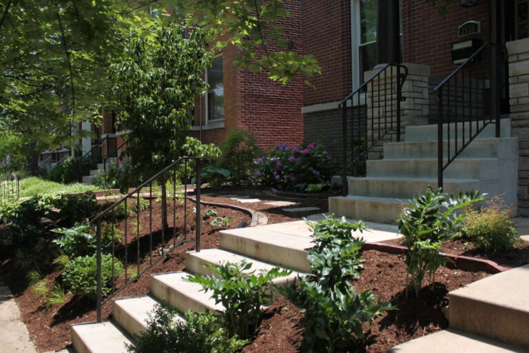 Brick townhouse with concrete steps and black metal railings, front garden with mulch and purple hydrangeas under leafy trees.