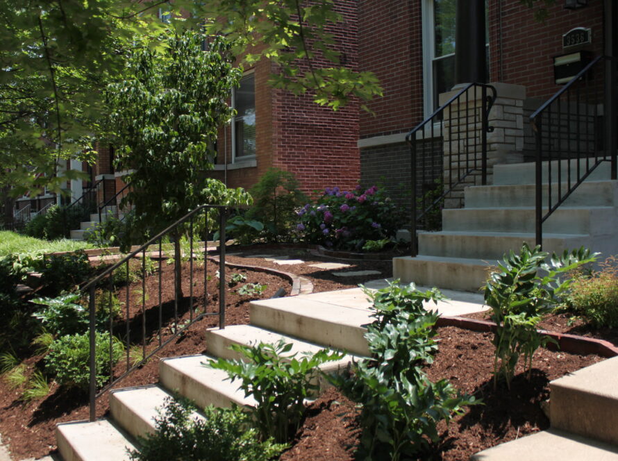 Brick townhouse with concrete steps and black metal railings, front garden with mulch and purple hydrangeas under leafy trees.