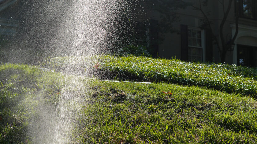 Sprinkler spraying water across a sunny front lawn with a house and trees in the background.
