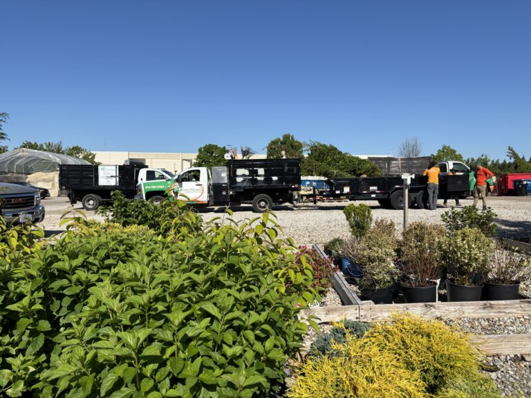 Construction site with black trailers, workers in orange shirts, and potted shrubs under a clear blue sky.