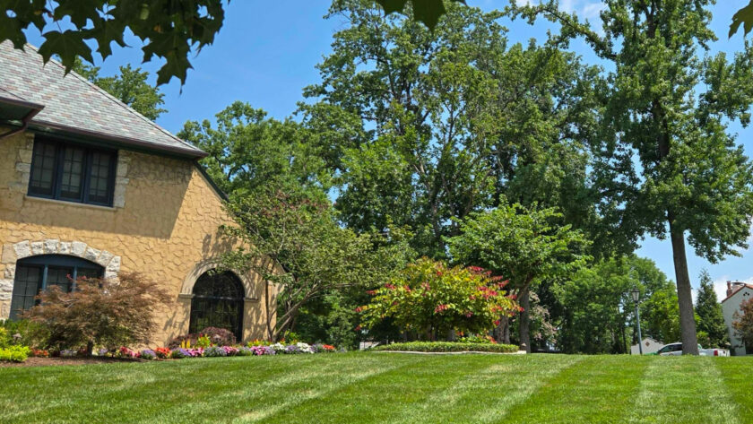 Sunlit front yard of a beige stone house with an arched window, surrounded by colorful flower beds and green lawn.