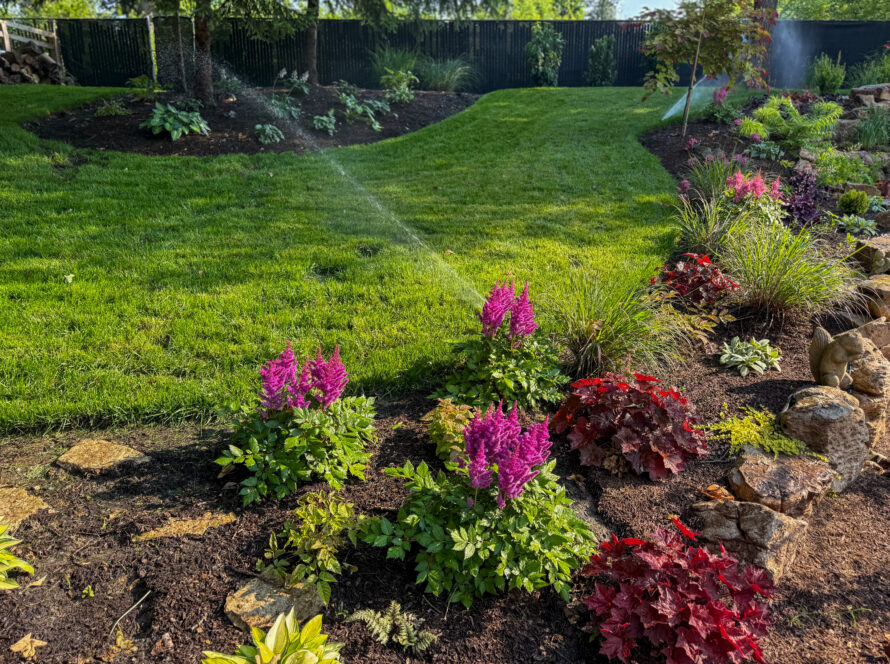 Lush backyard with a sprinkler watering a curved lawn and flower beds bordered by rocks at the edge of a garden bed.