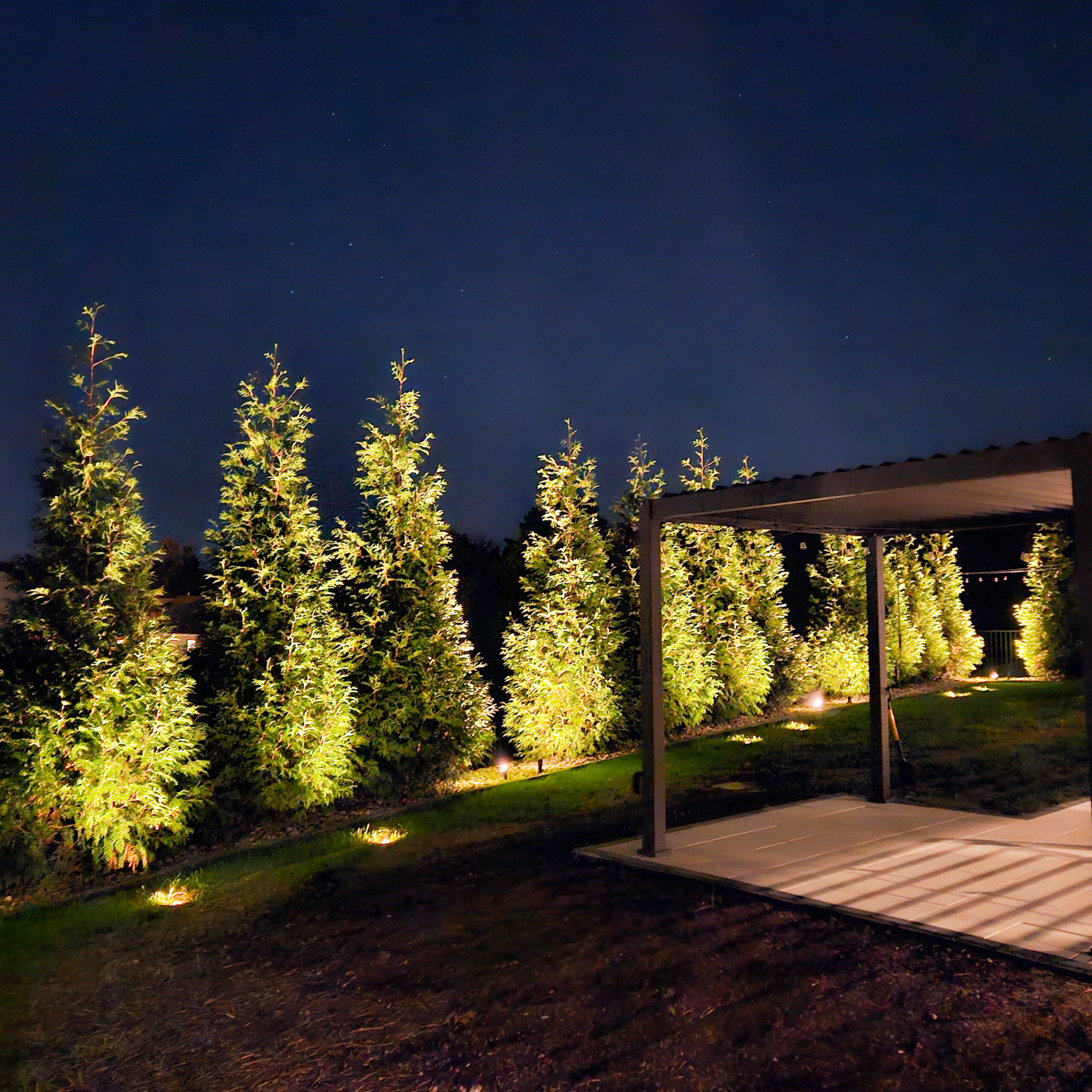Plantings in bloom along a St. Louis patio