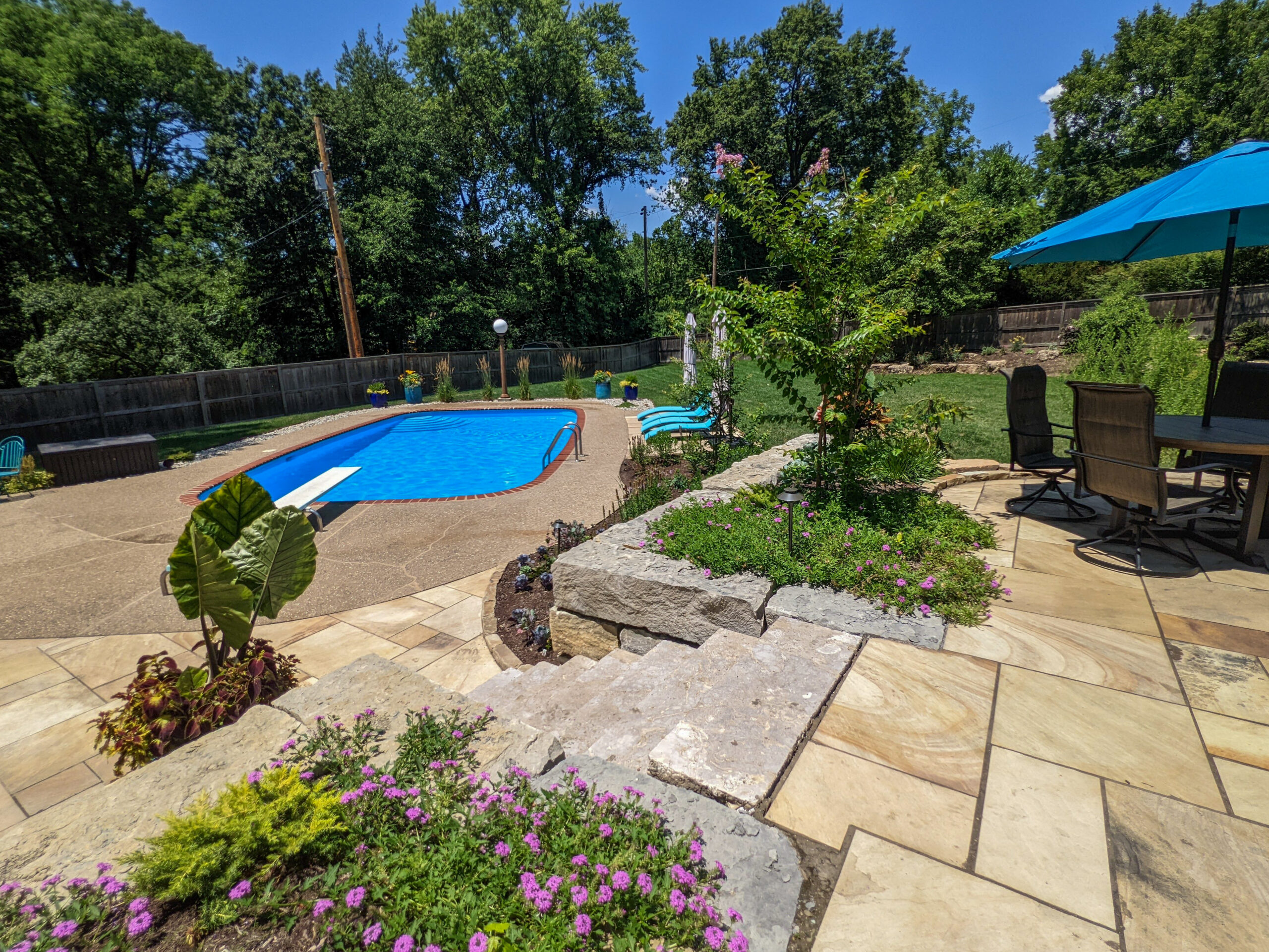 Privacy plantings around a pool in Webster Groves