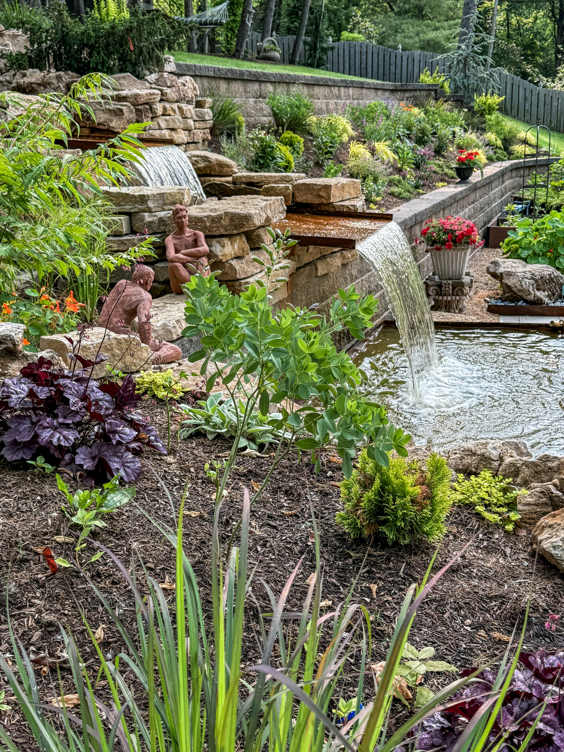 Layered native plantings along a property edge in St. Louis