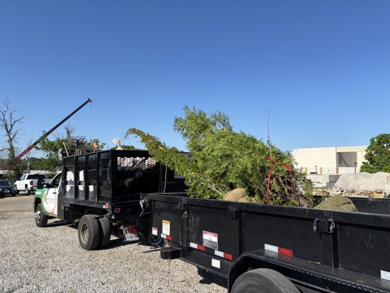 Construction site with a large black dump trailer and a red-and-black crane arm in the foreground, blue sky above.