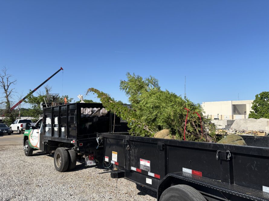Construction site with a large black dump trailer and a red-and-black crane arm in the foreground, blue sky above.