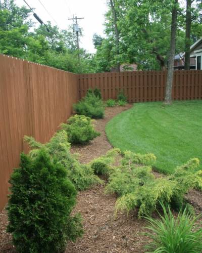 Lawn Aeration
