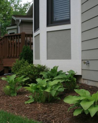 Lawn Aeration