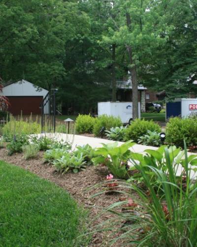 Lawn Aeration