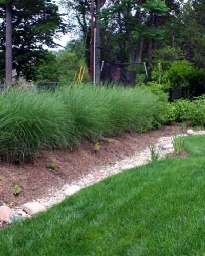 Sod Installation in St Louis, MO