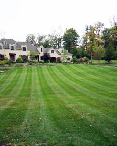 Lawn Aeration