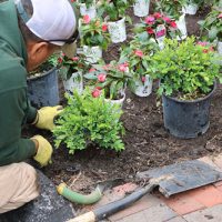 Planting Services