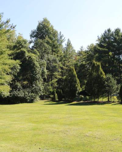 Lawn Aeration