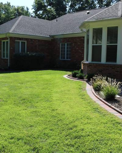 Lawn Aeration